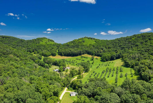 Live Simple and Save Big with a Tiny Home on Your Own Land