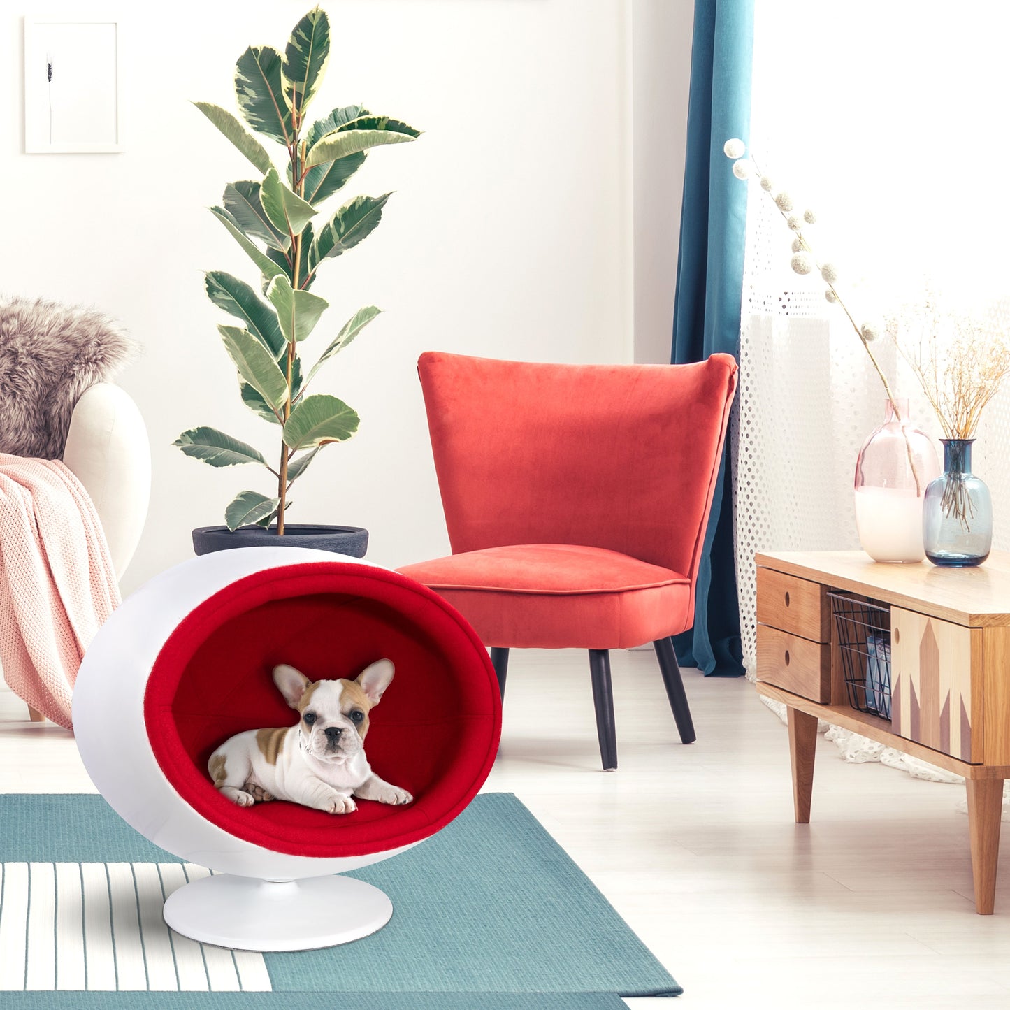 Modern Fiberglass Pet Chair/Bed